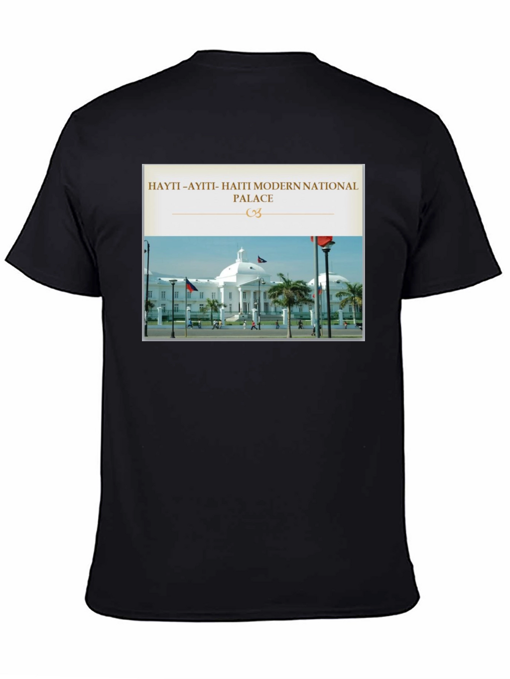 Haiti National Palace Graphic T-Shirt