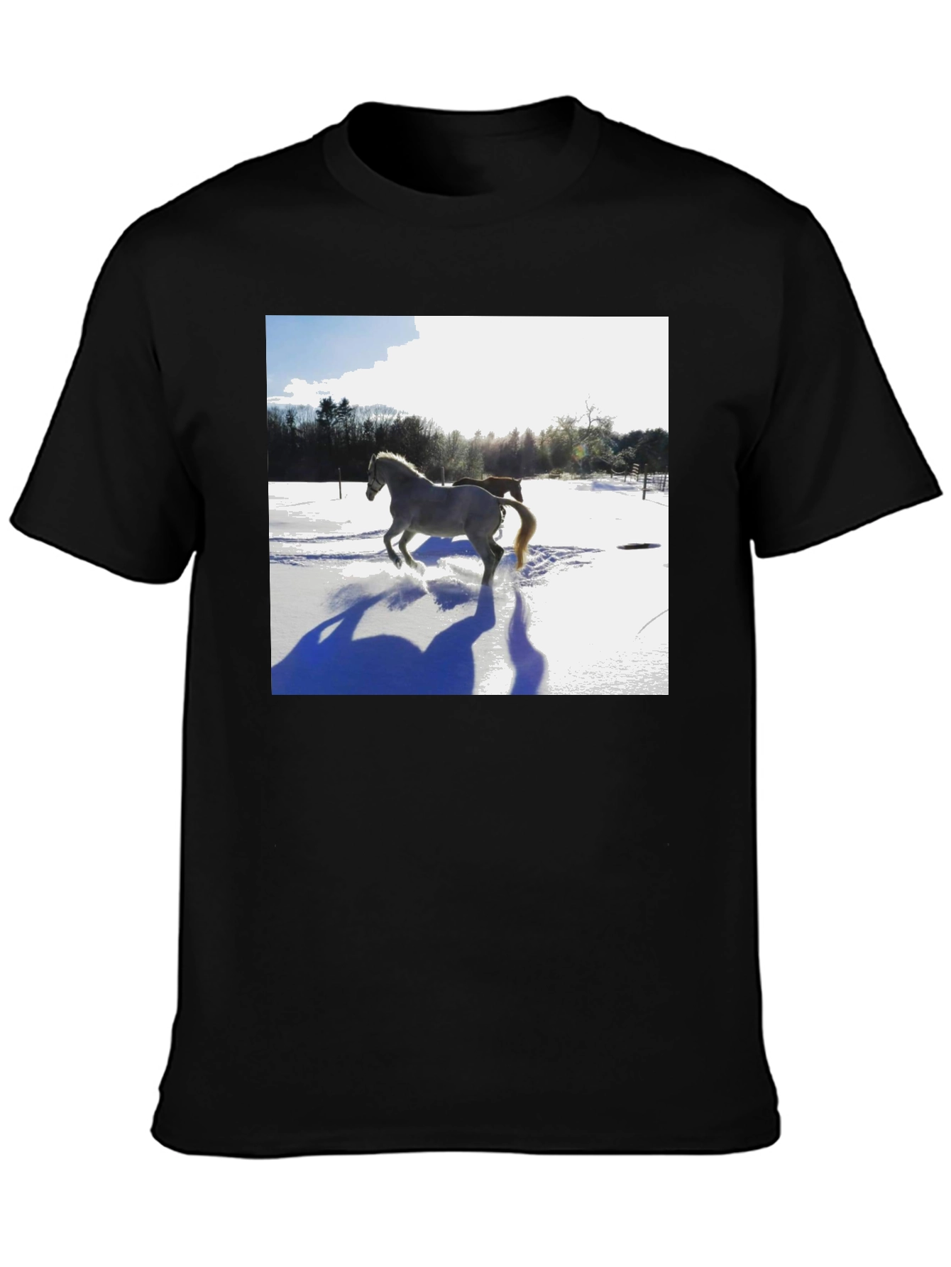 Horse in Snow Graphic T-Shirt