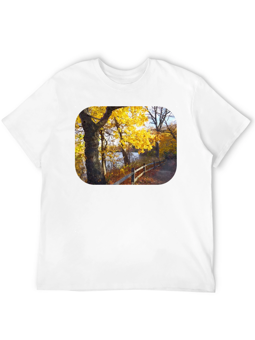 Autumn Trees Graphic Tee - Nature Inspired Black T-Shirt