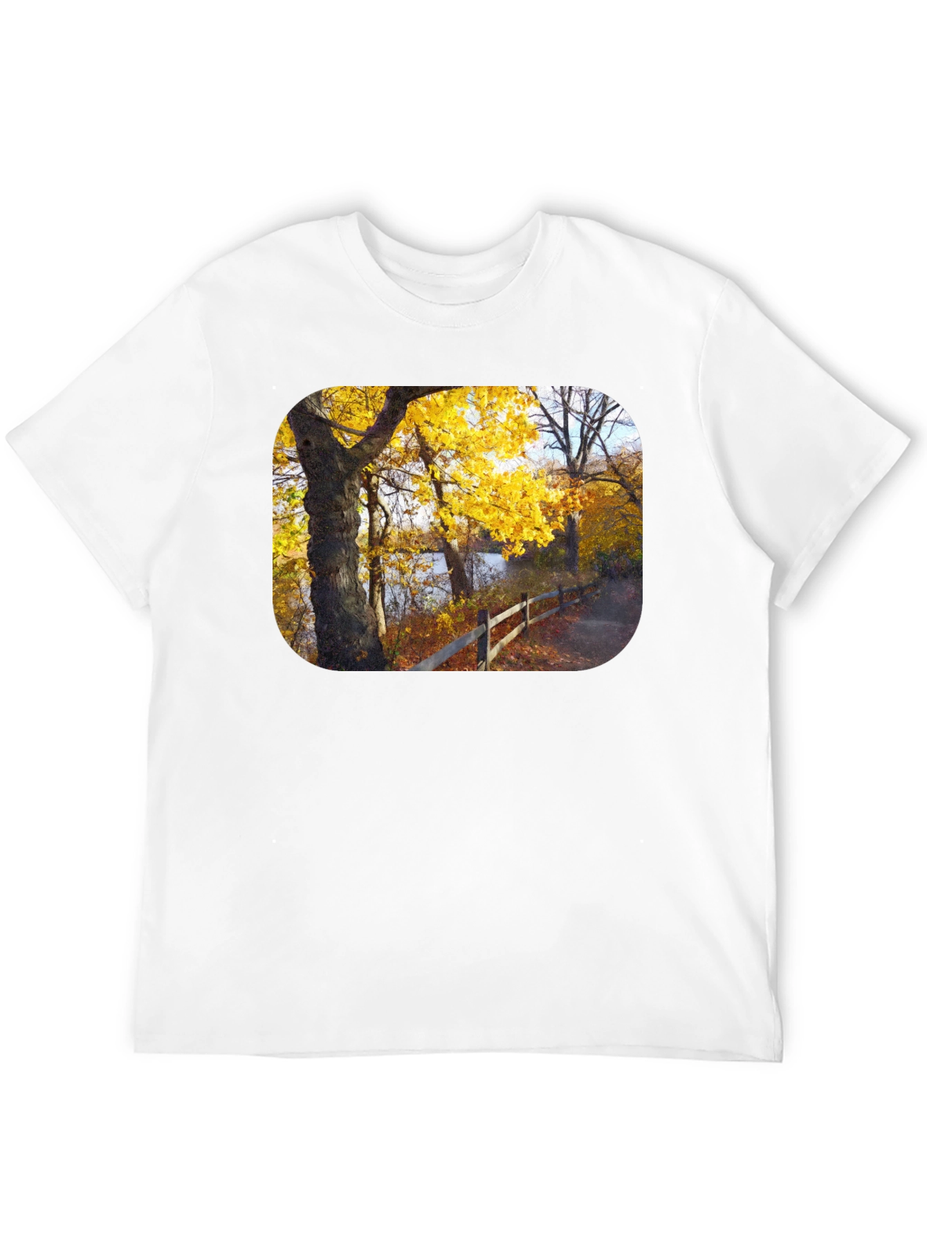 Autumn Trees Graphic Tee - Nature Inspired Black T-Shirt