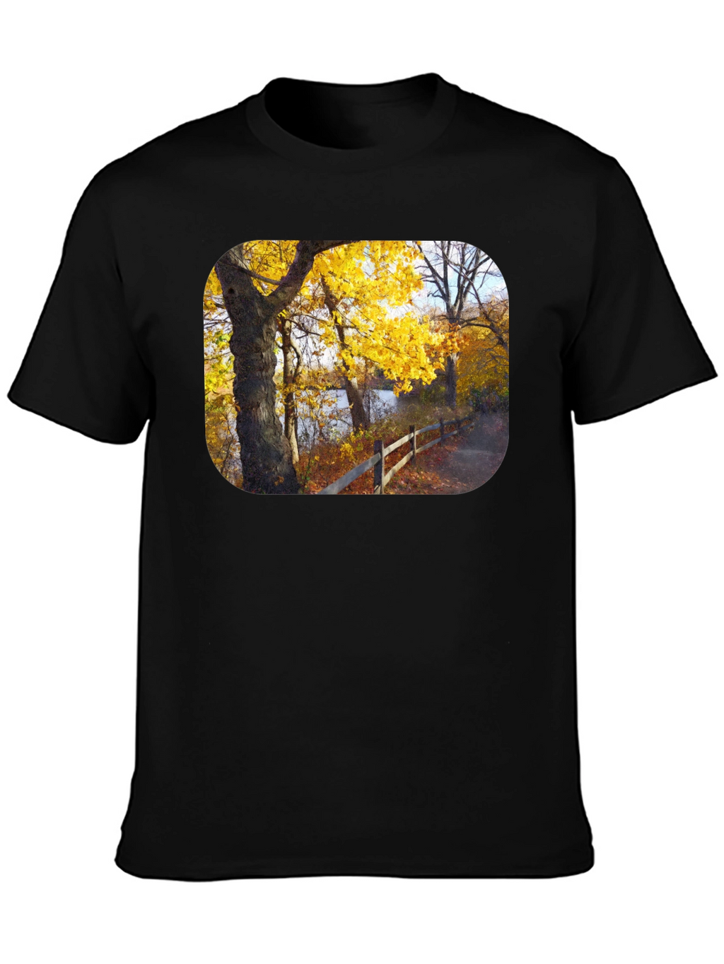 Autumn Trees Graphic Tee - Nature Inspired Black T-Shirt