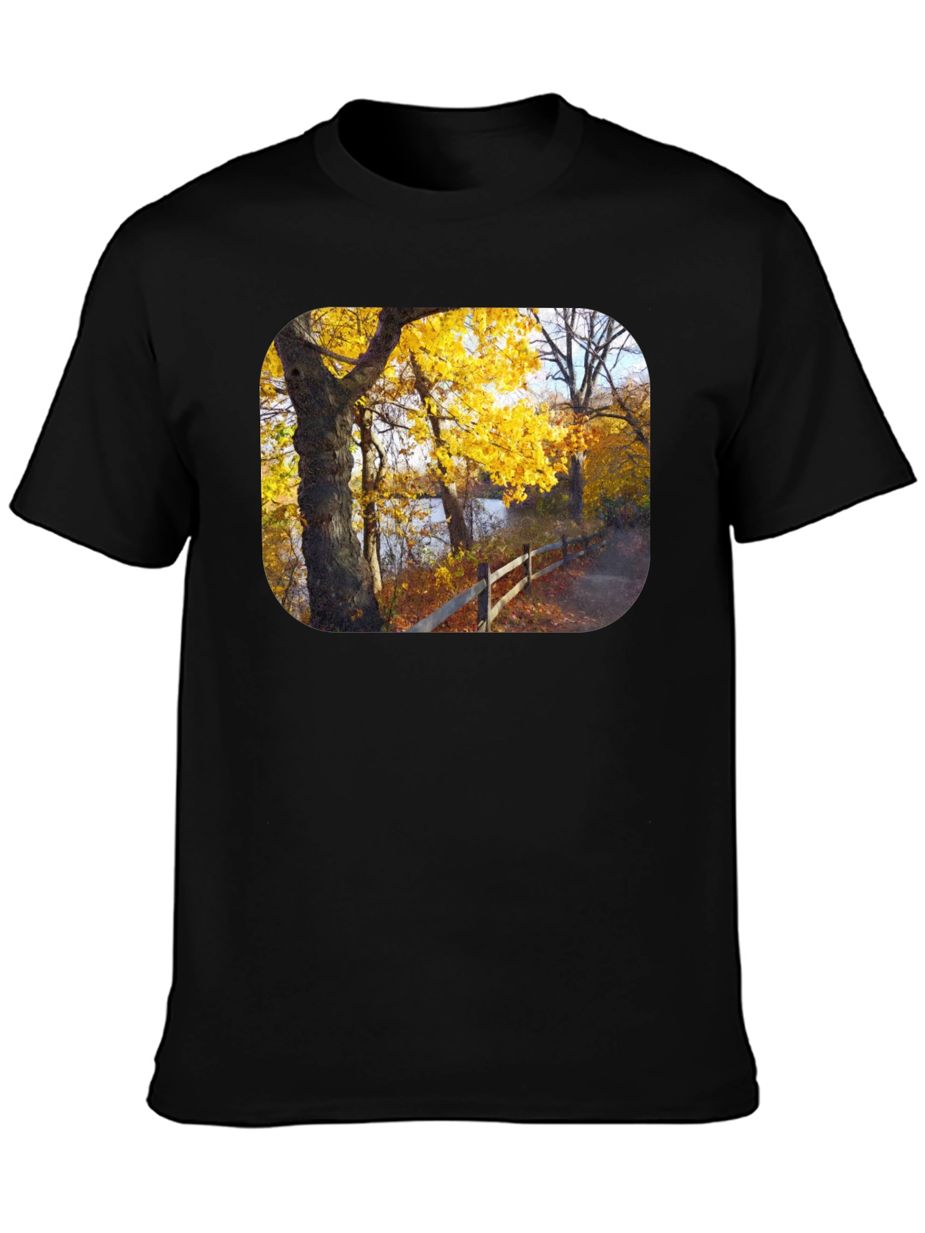 Autumn Trees Graphic Tee - Nature Inspired Black T-Shirt