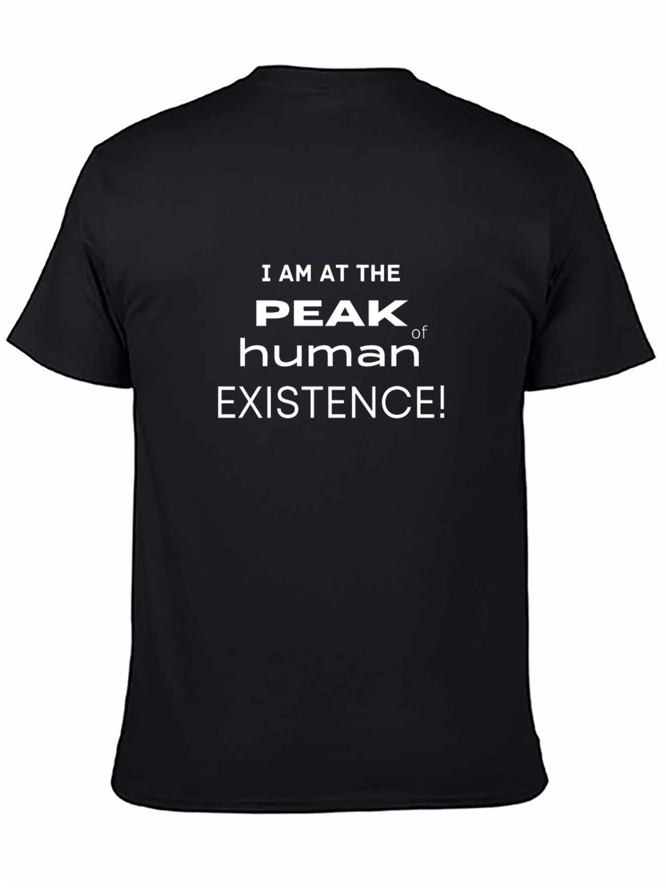 Peak Human Existence T-Shirt - Funny Sarcastic Tee