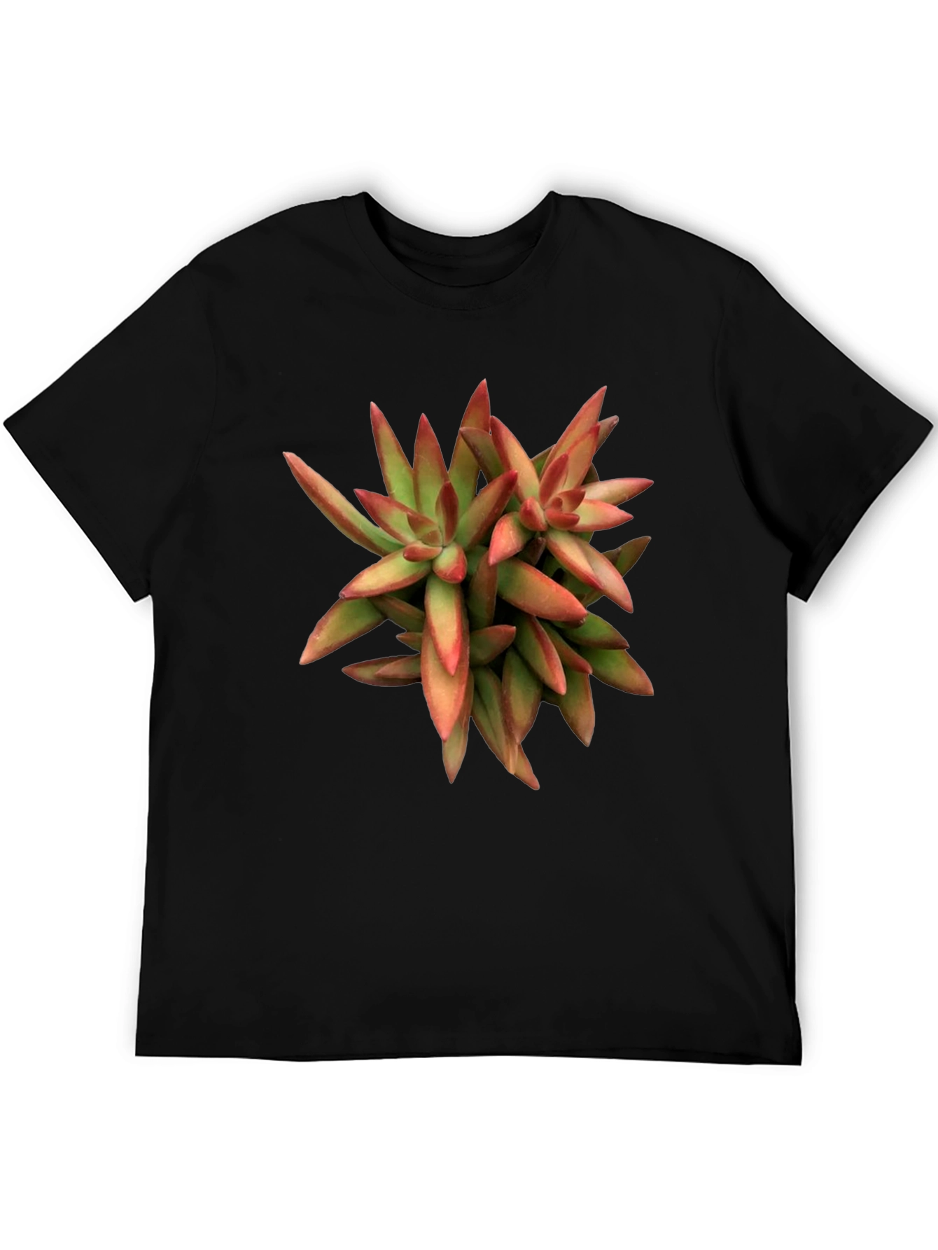 Succulent Plant Graphic Print Black T-Shirt