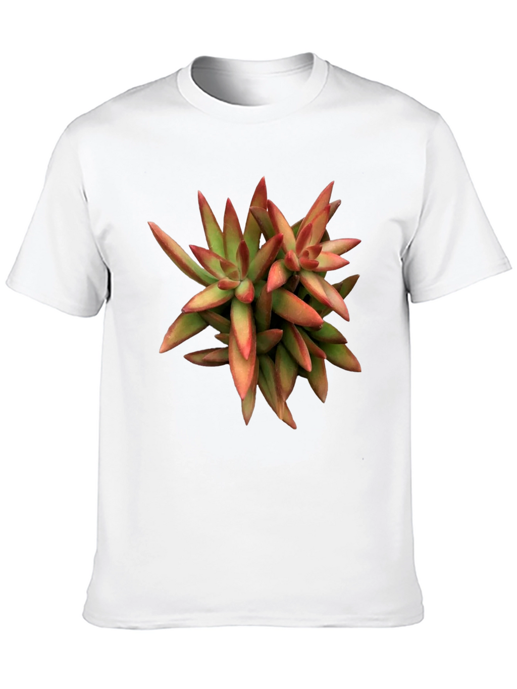 Succulent Plant Graphic Print Black T-Shirt