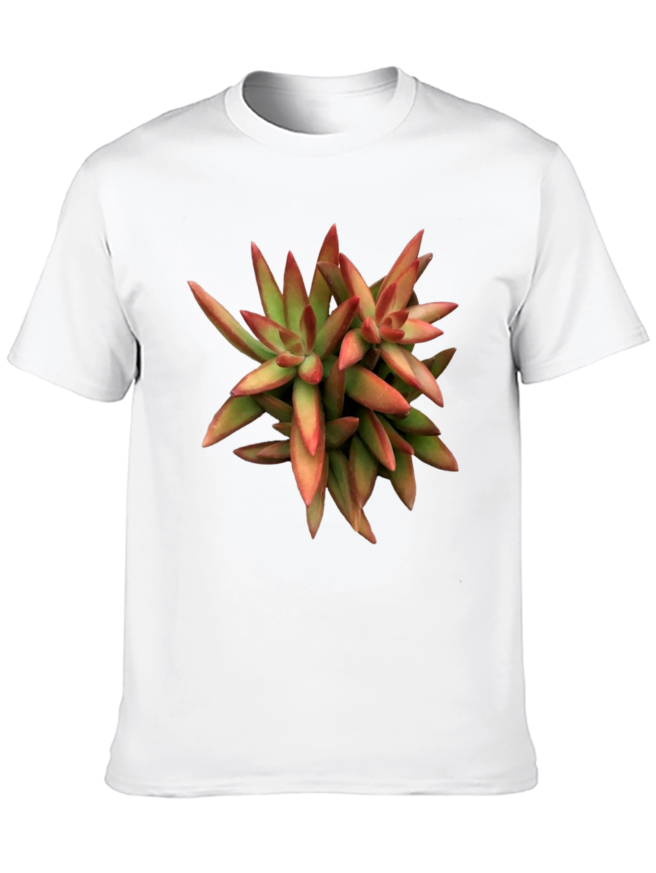 Succulent Plant Graphic Print Black T-Shirt