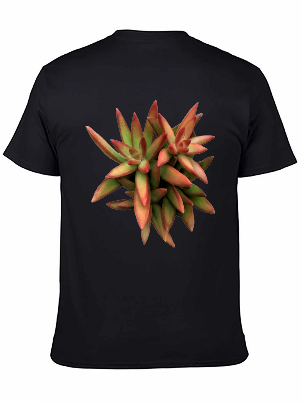 Succulent Plant Graphic Print Black T-Shirt