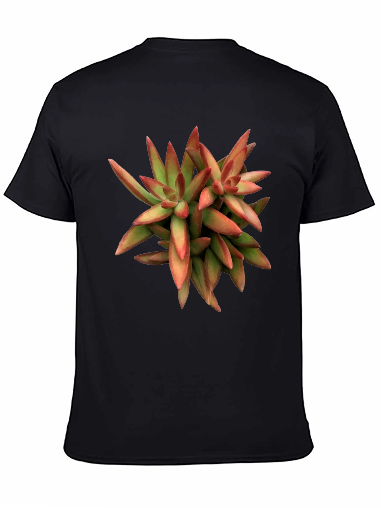 Succulent Plant Graphic Print Black T-Shirt