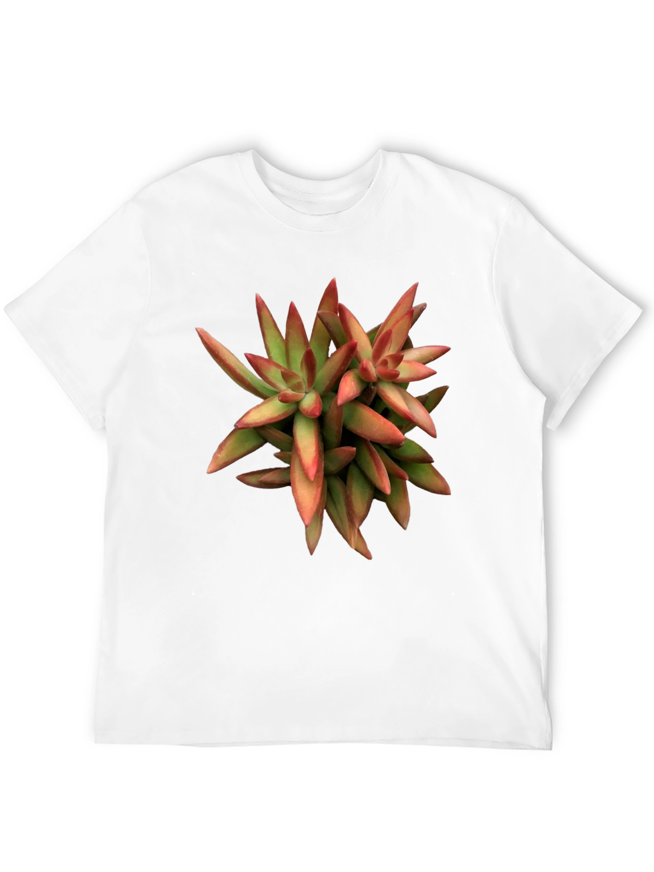Succulent Plant Graphic Print Black T-Shirt