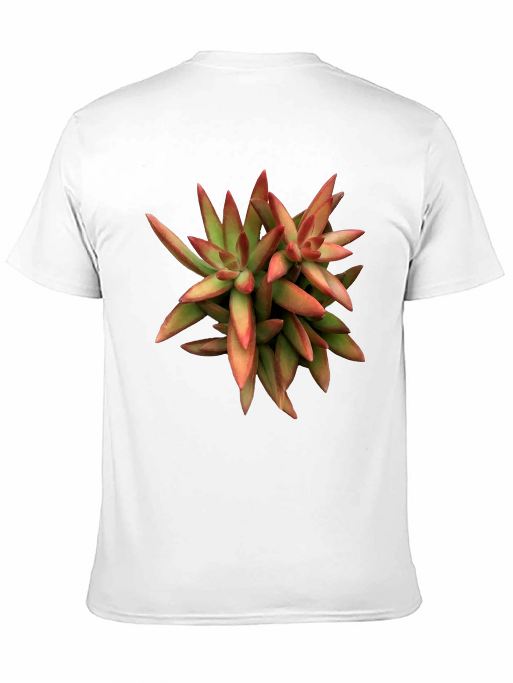 Succulent Plant Graphic Print Black T-Shirt