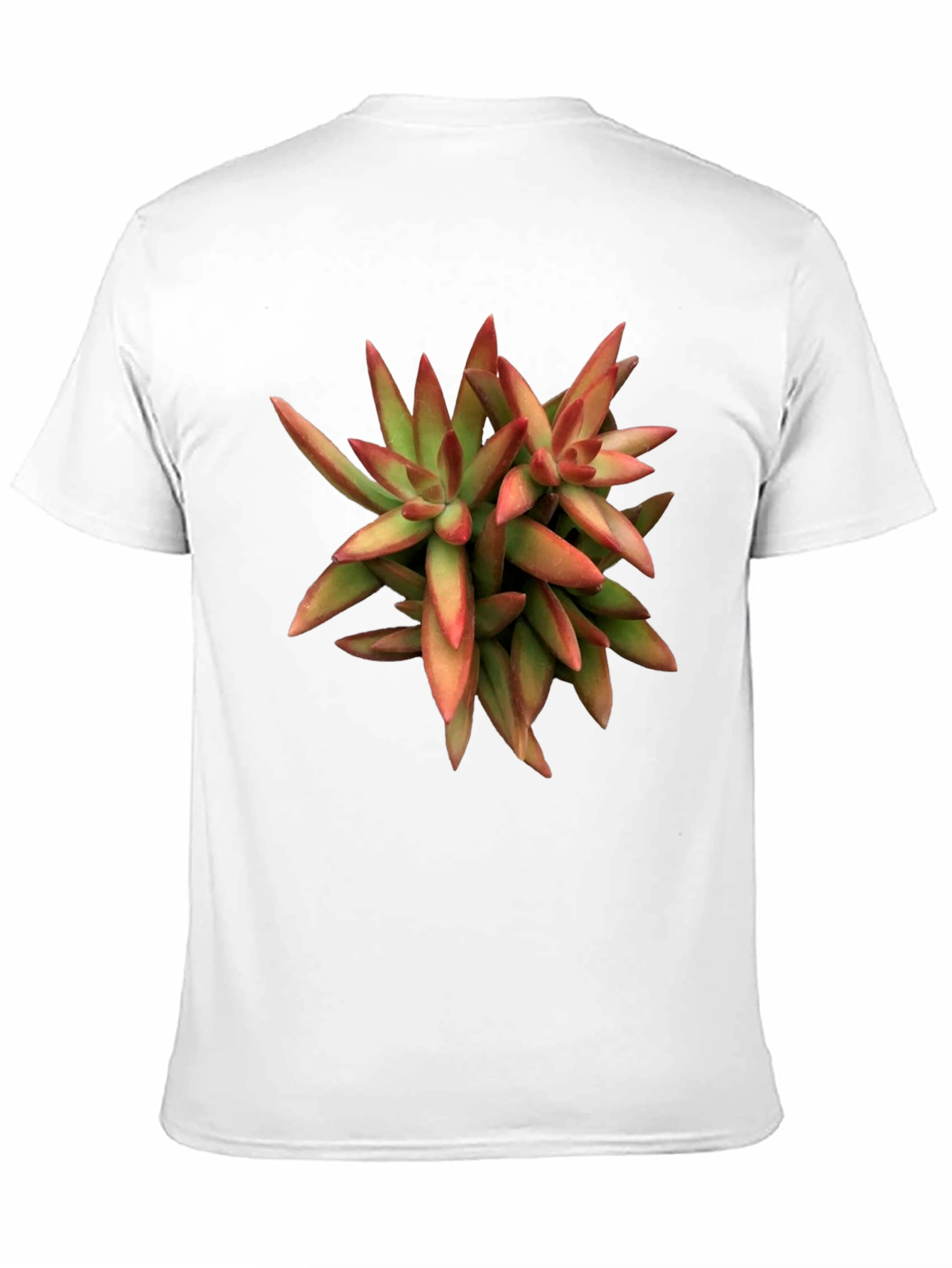 Succulent Plant Graphic Print Black T-Shirt