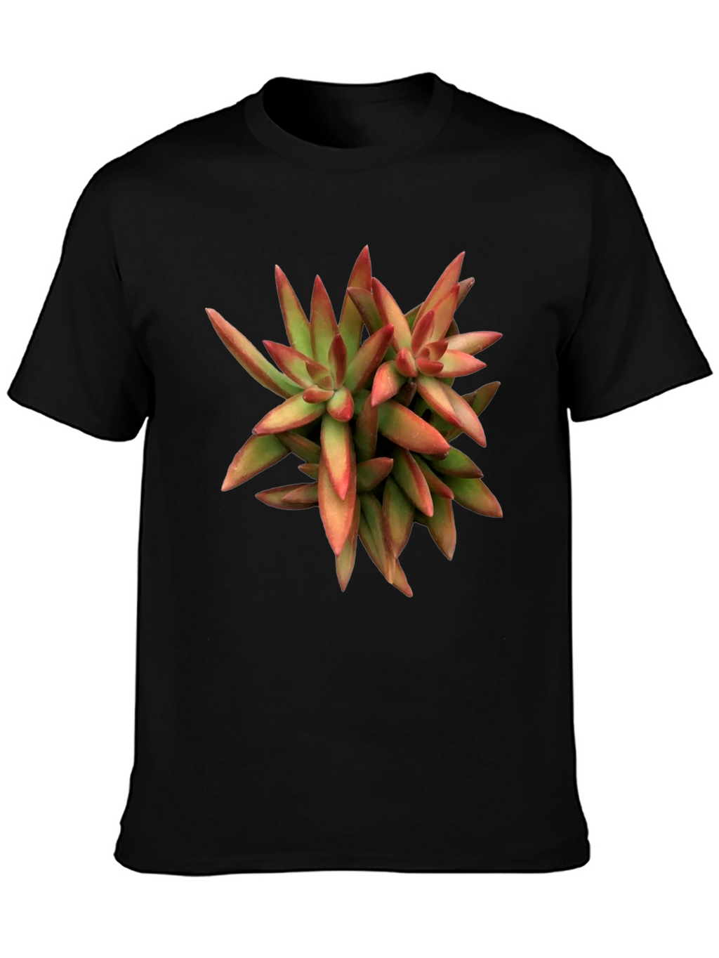 Succulent Plant Graphic Print Black T-Shirt
