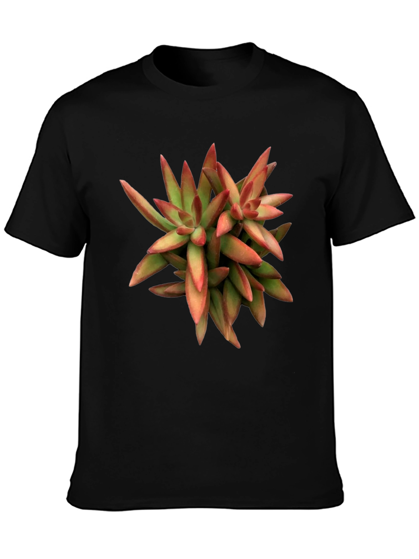 Succulent Plant Graphic Print Black T-Shirt