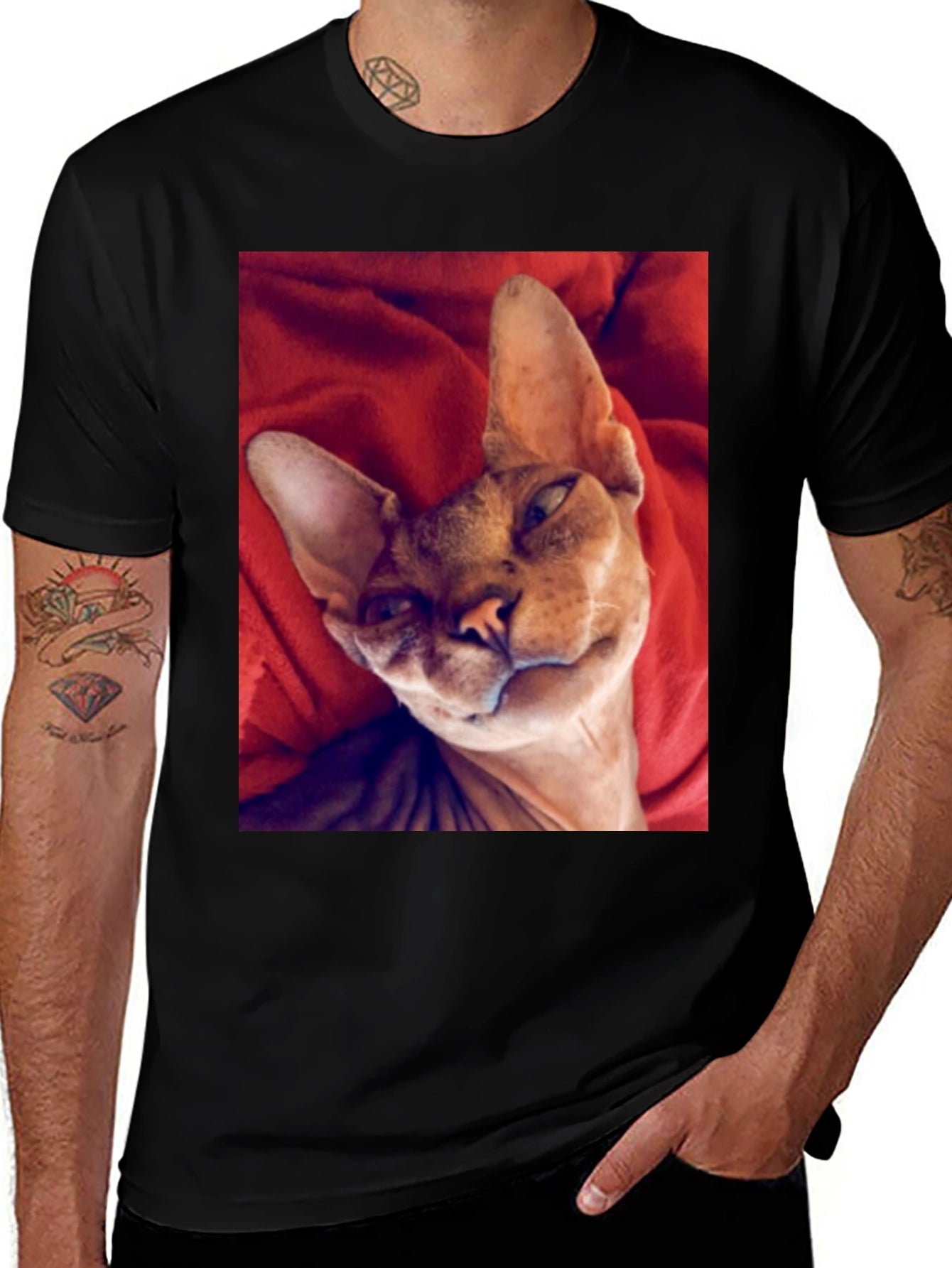 Sphynx Cat T-Shirt - Black Cotton Tee for Cat Lovers
