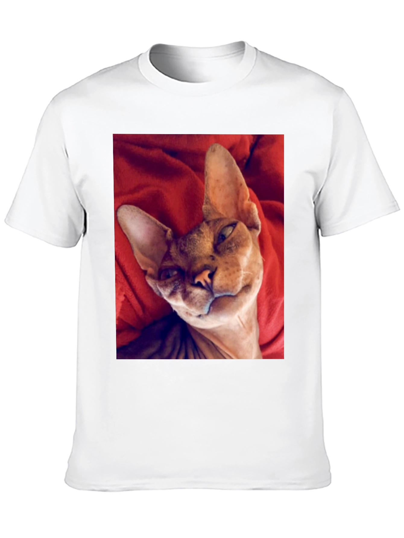 Sphynx Cat T-Shirt - Black Cotton Tee for Cat Lovers
