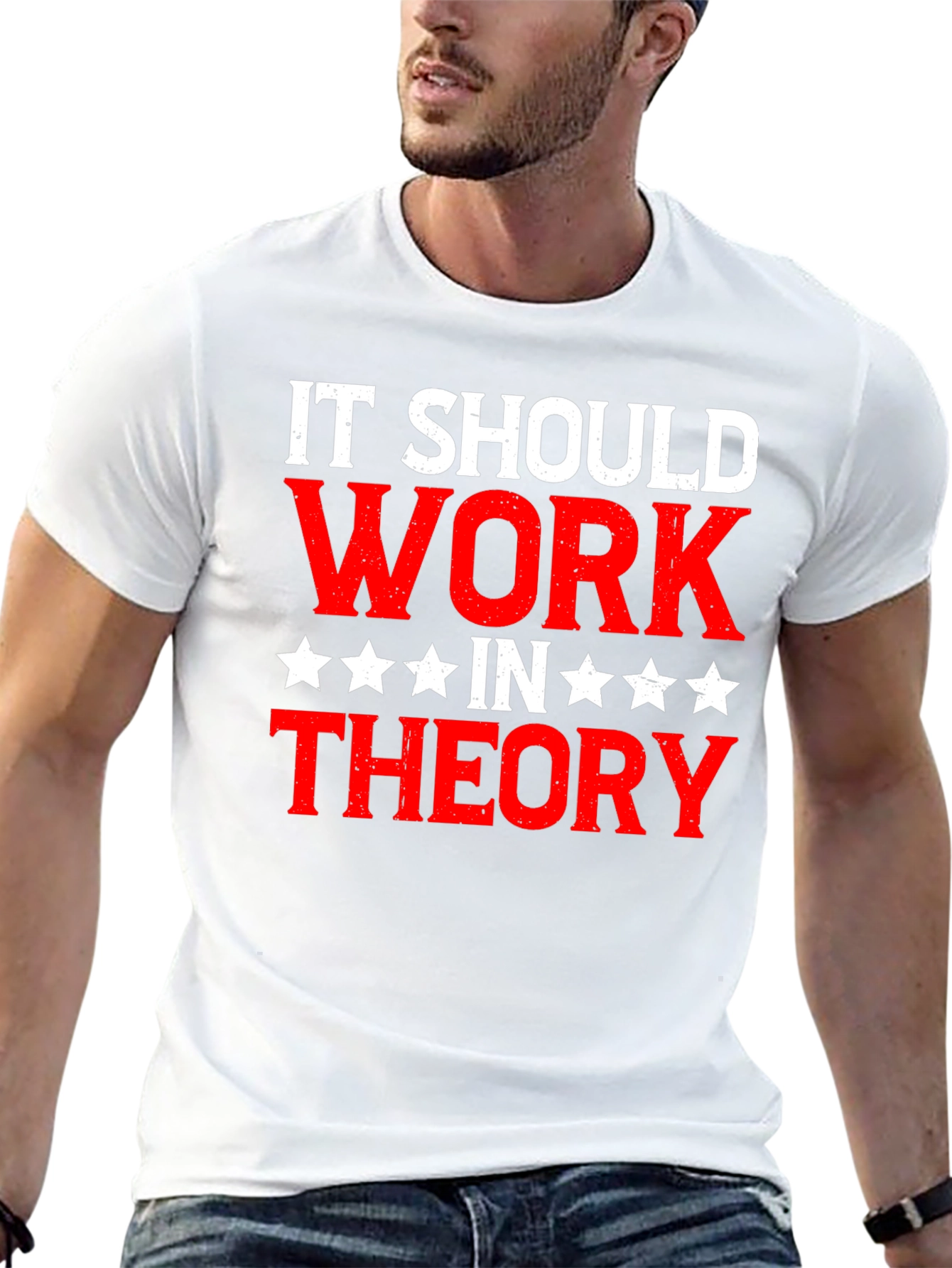 It Should Work In Theory Graphic T-Shirt