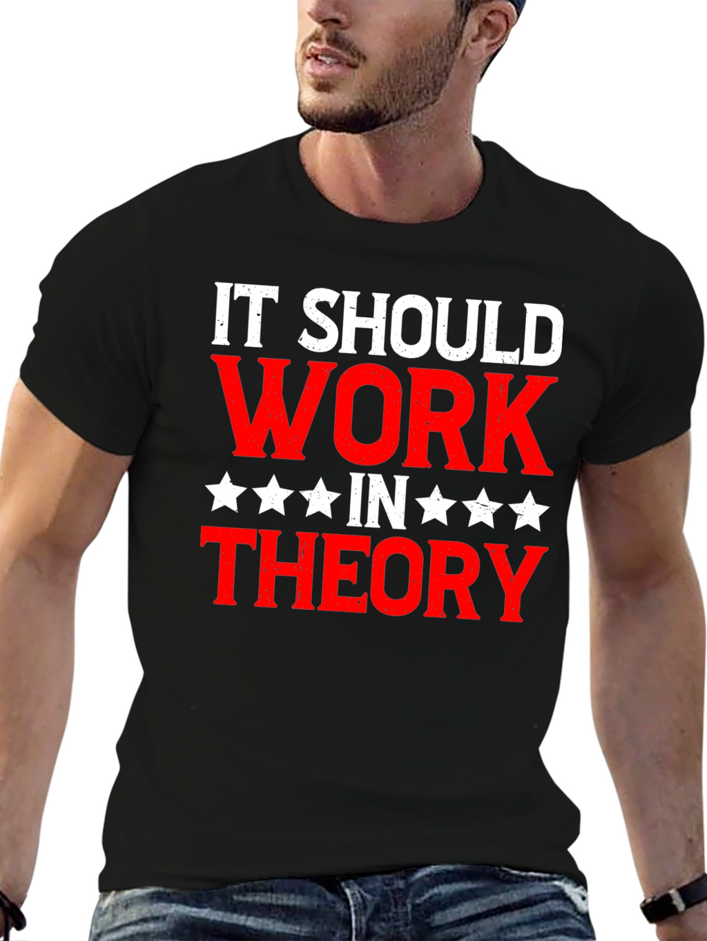 It Should Work In Theory Graphic T-Shirt
