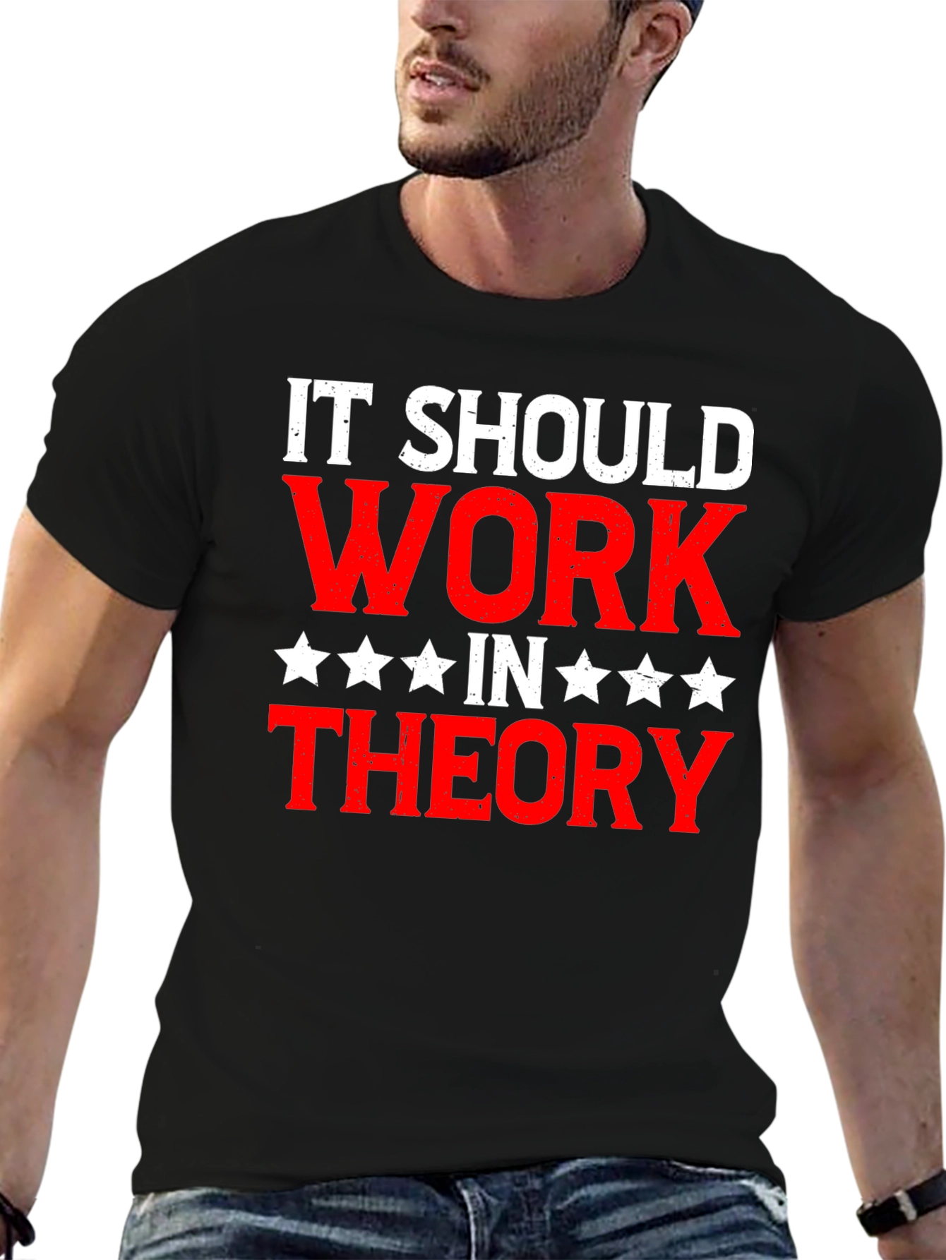 It Should Work In Theory Graphic T-Shirt