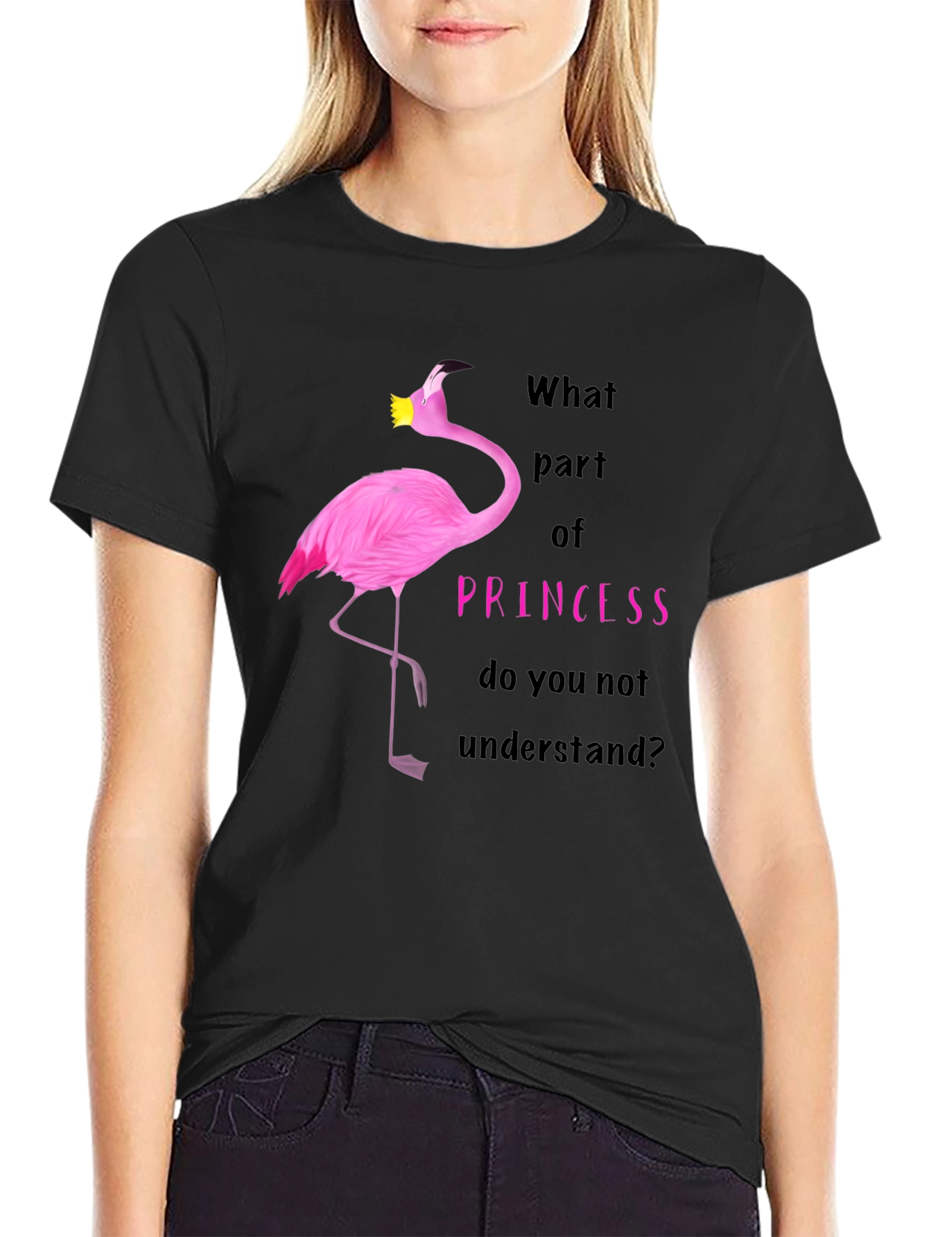 Flamingo Princess T-Shirt - What Part Do You Not Understand?