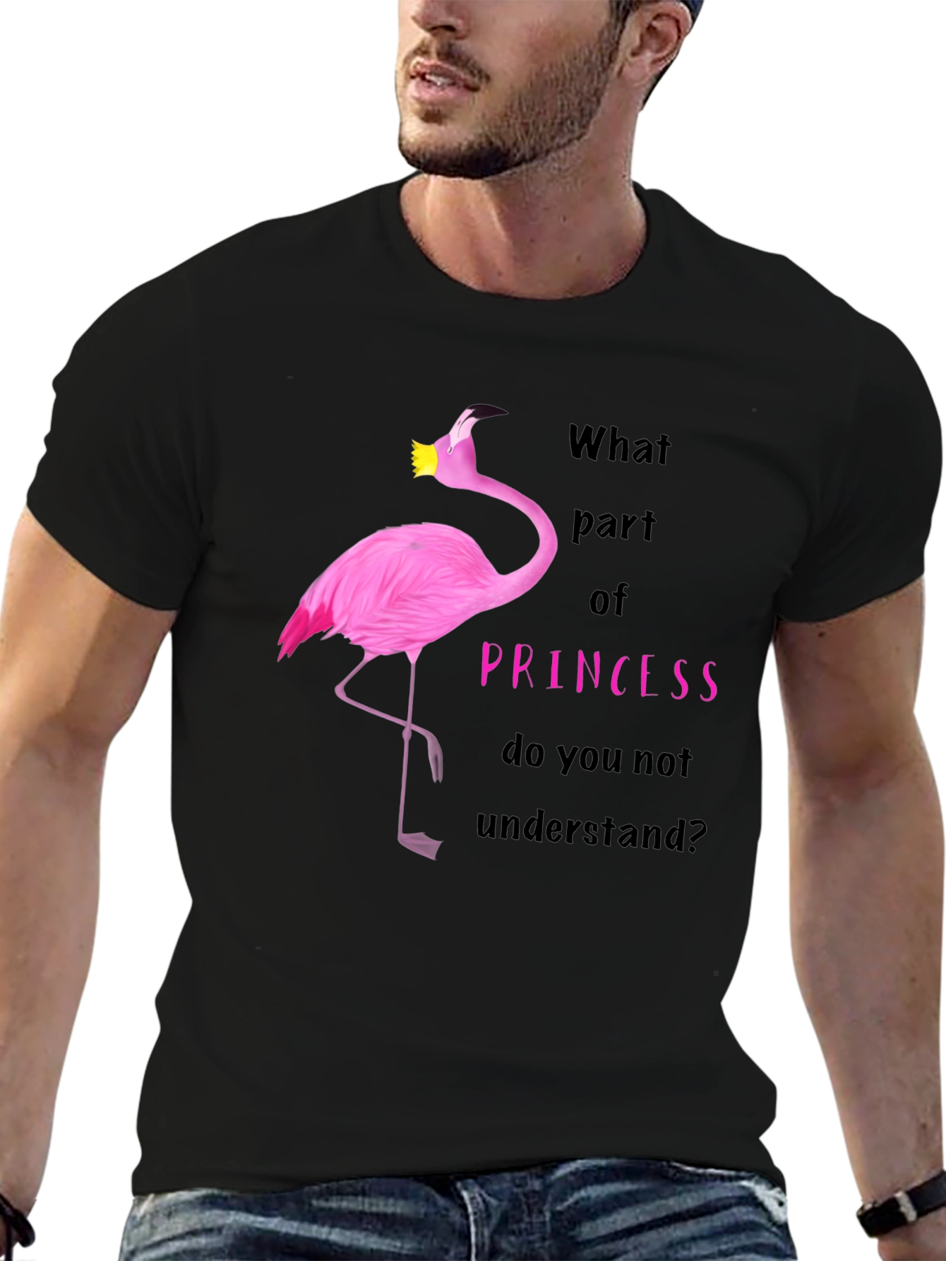 Flamingo Princess T-Shirt - What Part Do You Not Understand?
