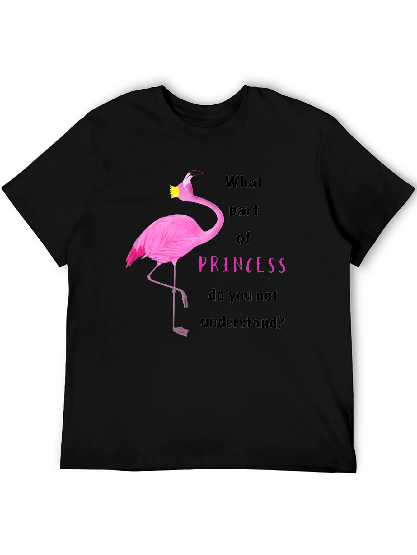 Flamingo Princess T-Shirt - What Part Do You Not Understand?