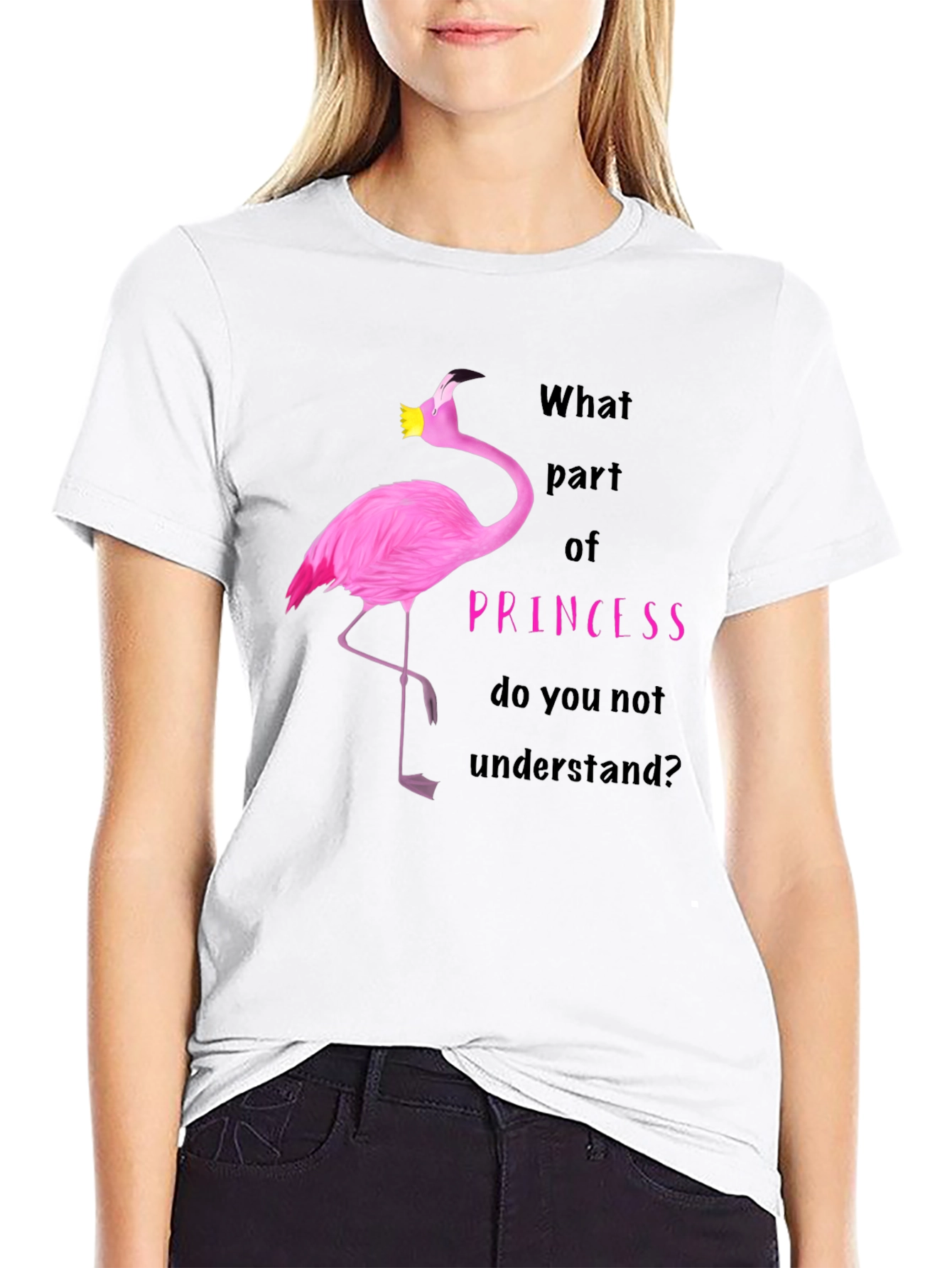Flamingo Princess T-Shirt - What Part Do You Not Understand?