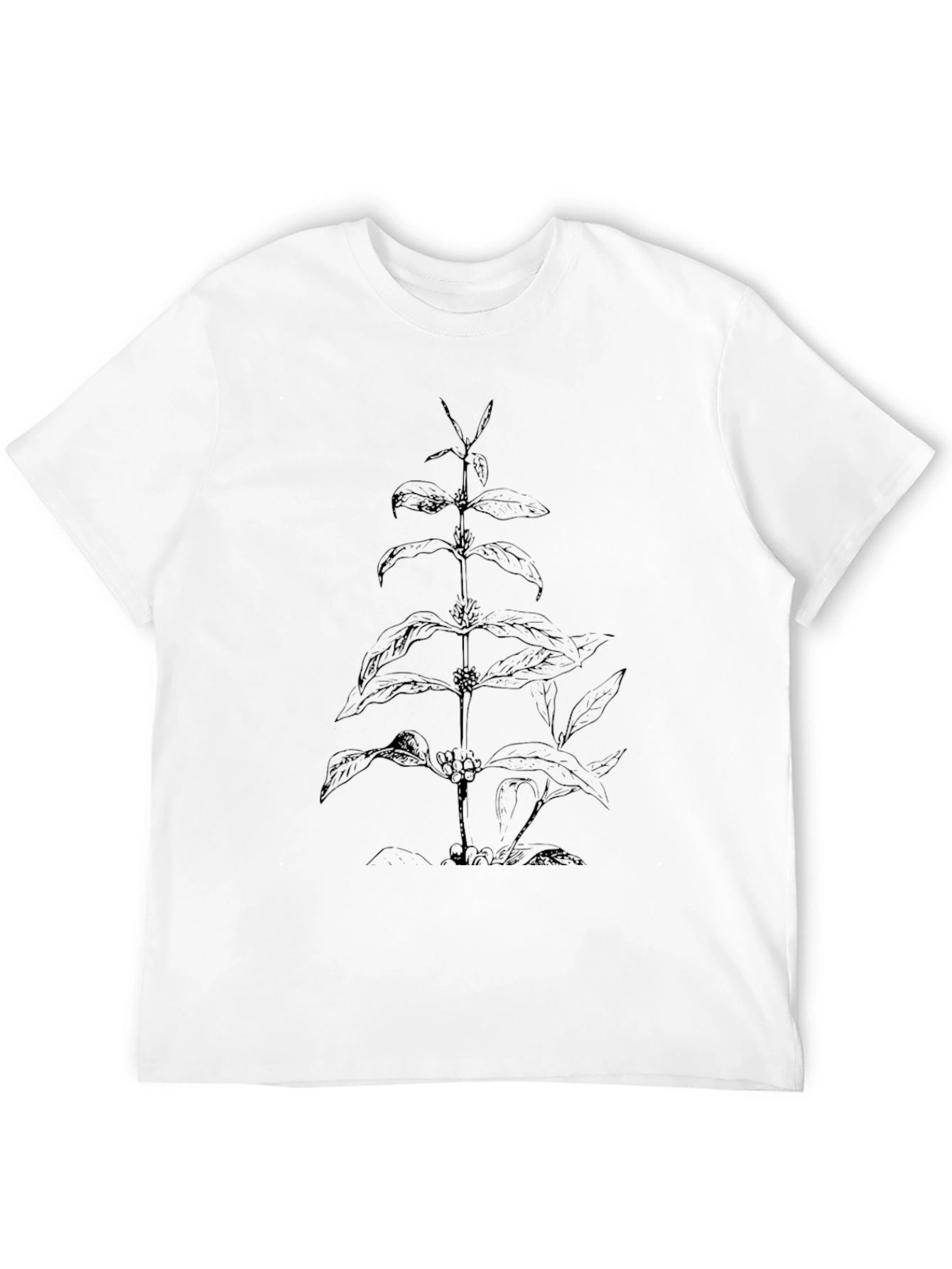 Botanical Plant Graphic Black T-Shirt