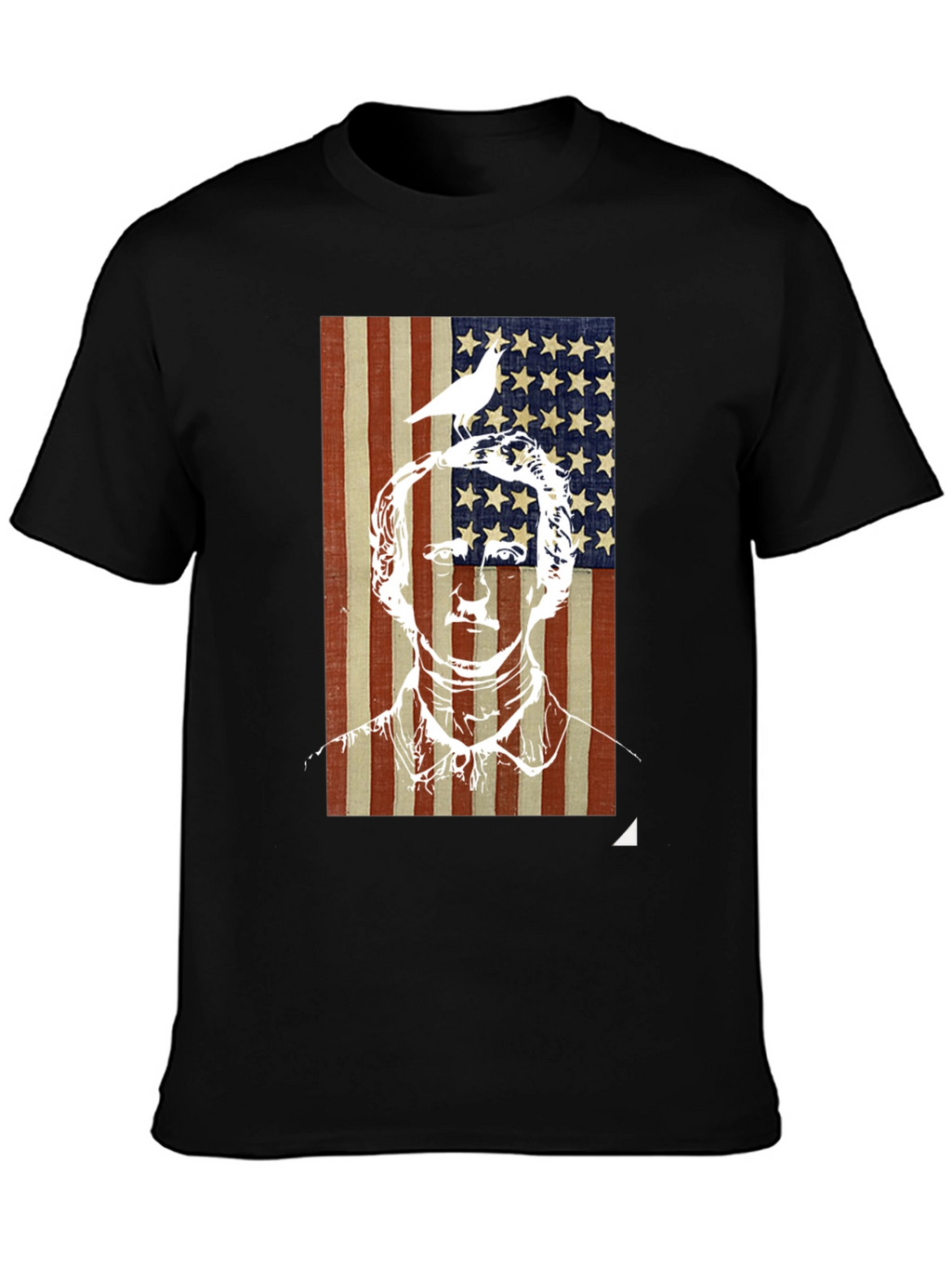 Patriotic Graphic Tee - US Flag with Bird