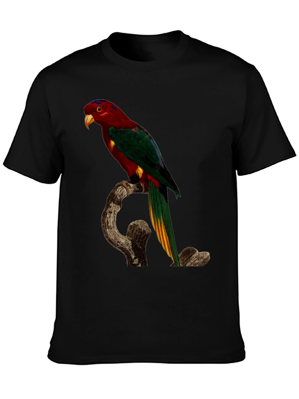 Parrot Print Black T-Shirt