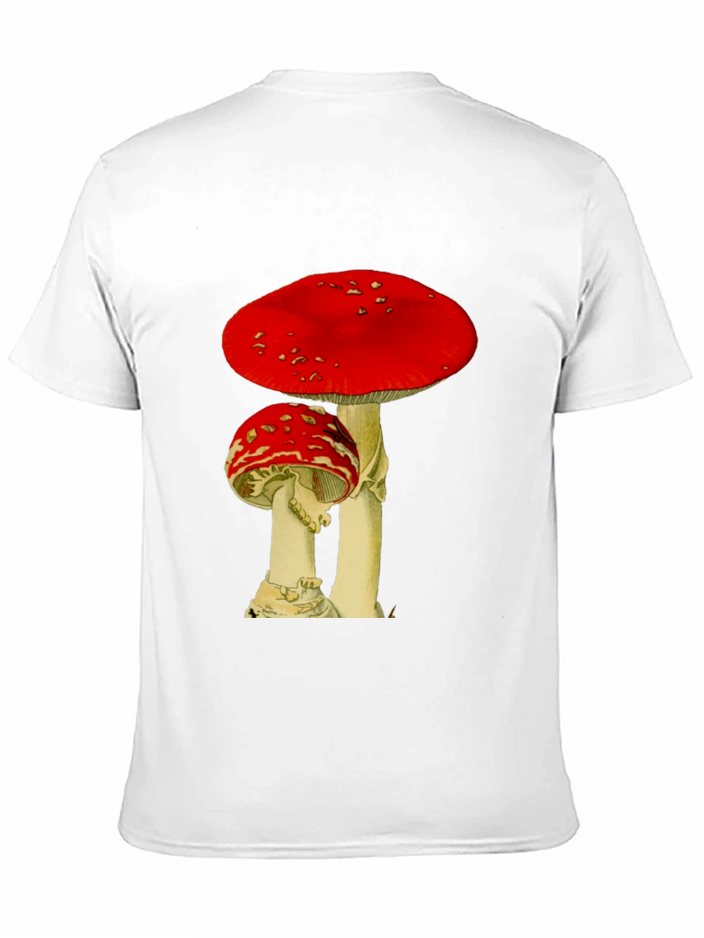 Mushroom Graphic Black T-Shirt
