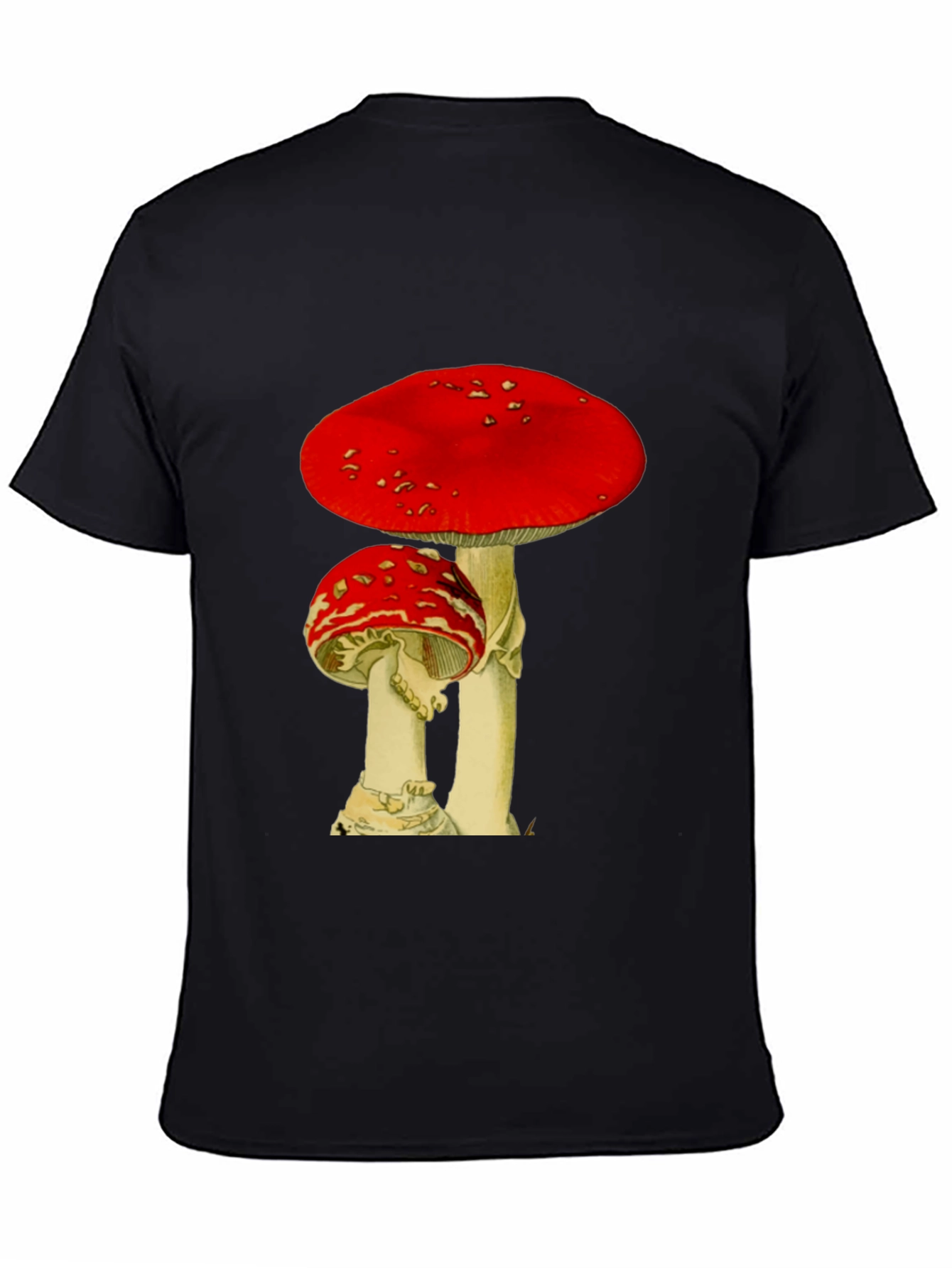 Mushroom Graphic Black T-Shirt